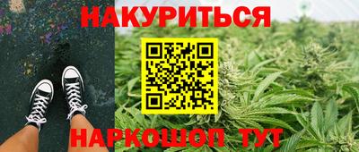 стафф Новозыбков