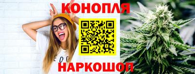 стафф Новозыбков