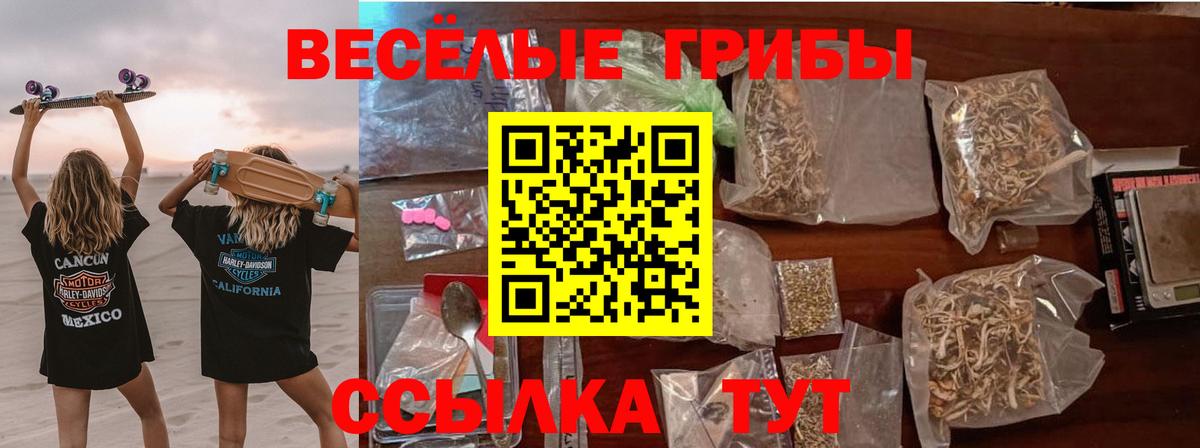 Псилоцибиновые грибы Psilocybe  Вход с VPN  Спасск-Дальний 